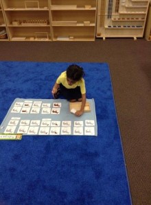 A child playing a matching card game at Lutz Montessori School and Montessori at Trinity Oaks